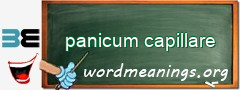 WordMeaning blackboard for panicum capillare